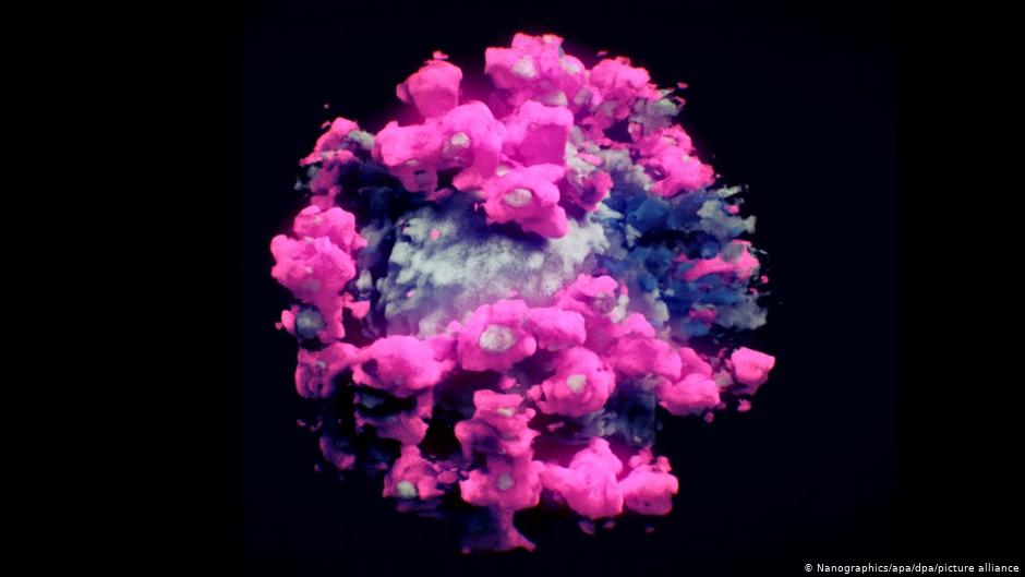 Коронавирус под микроскопом, фото