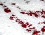 В Иркутске подросток нанёс девушке 11 ножевых ранений