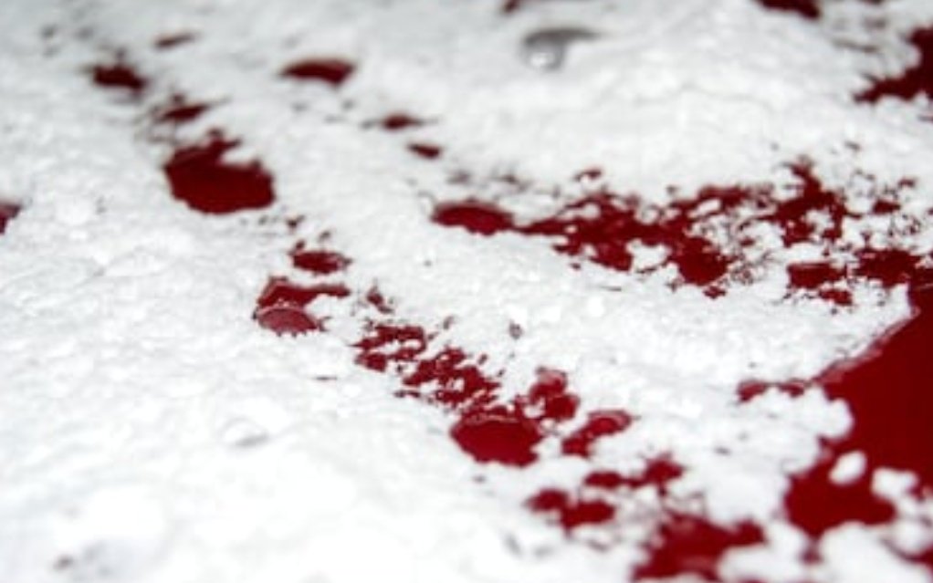 Кровь на снегу