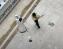 Разгневанная пациентка избила робота-регистратора в китайской больнице